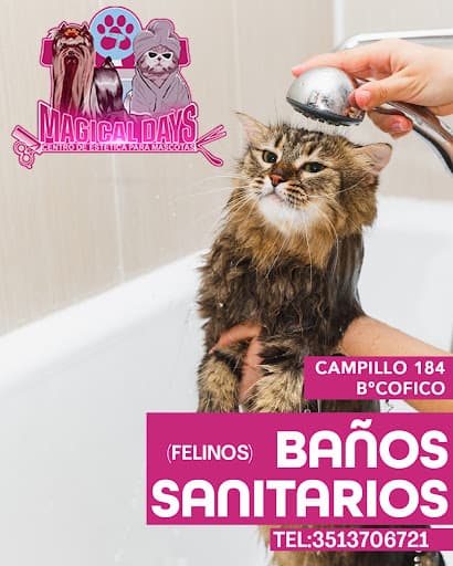 Magical Days: Centro de Estética para Mascotas