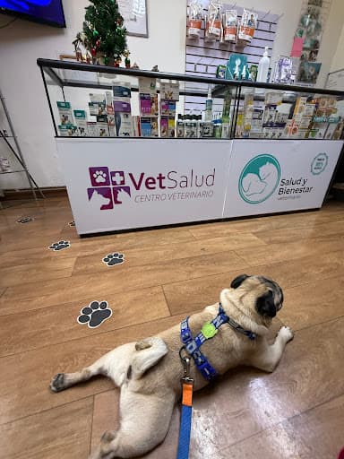 Centro Veterinario VetSalud