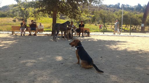 Canil Parque Bicentenario