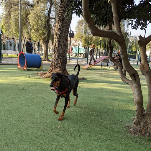 Parque Canino