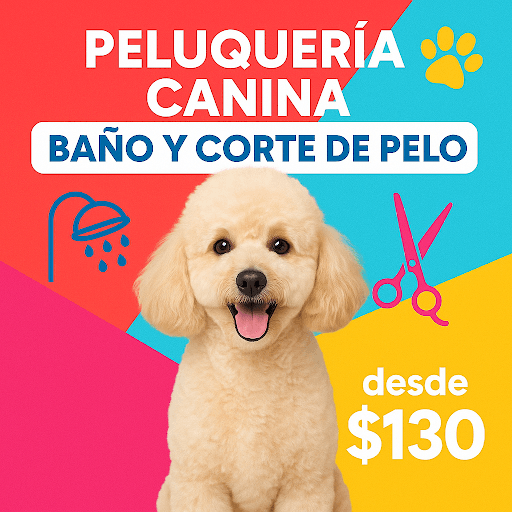 Alebrije Peluquería Canina