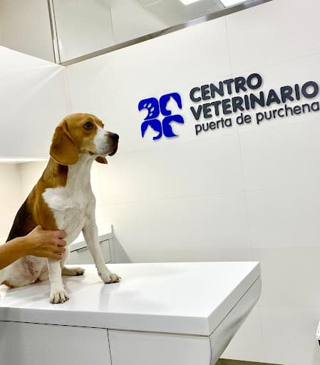 Centro Veterinario Puerta de Purchena