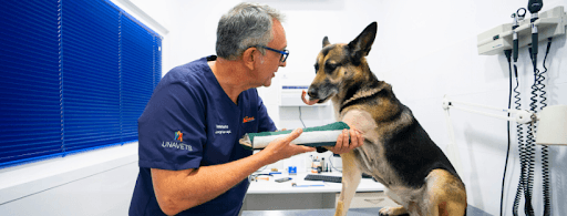 Clínica Veterinaria San Sebastián