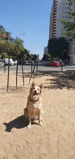 Zona Recreativa Canina