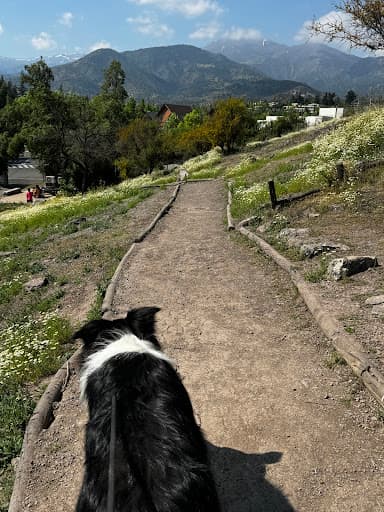 Parque Cerro del Medio