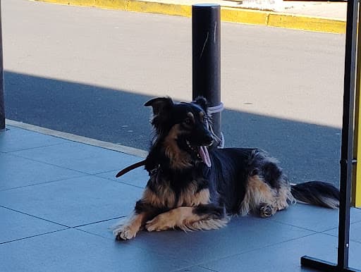 Vivo Outlet Chillán