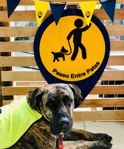 Paseo Entre Patas