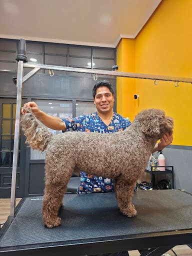 MIMOTES Peluquería Canina