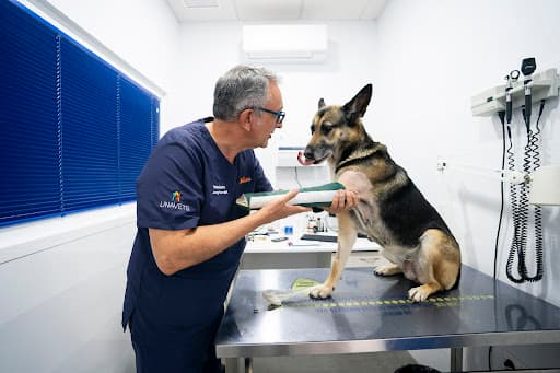 Hospital Veterinario Nueva Andalucía