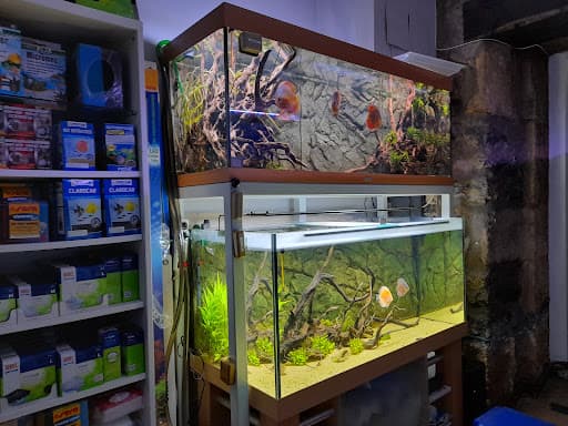 BizkaiTropik - Tienda de peces y acuarios