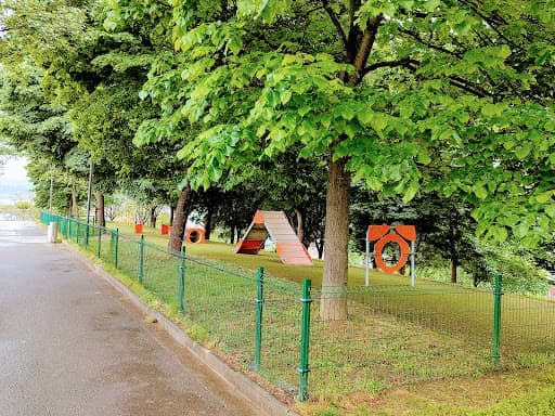 Parque de ejercicios para perros