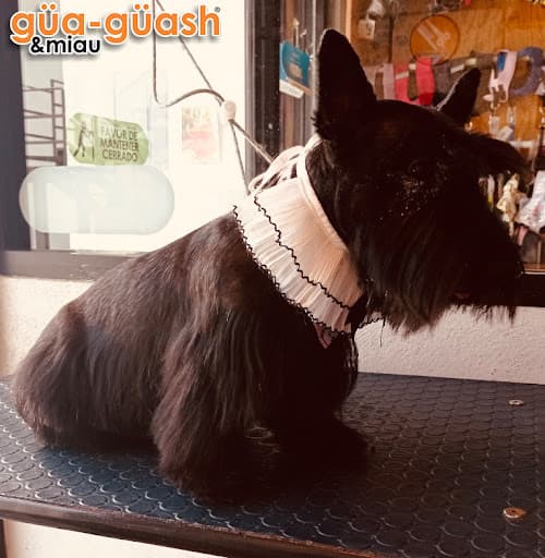 GUAGUASH & MIAU, veterinaria y estética canina