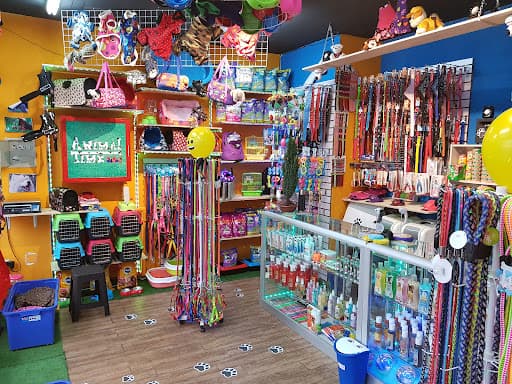 Animal Time - Punto Blue Express, Chilexpress, Starken y Mercado Libre.