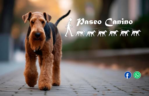 Paseo Canino Gdl