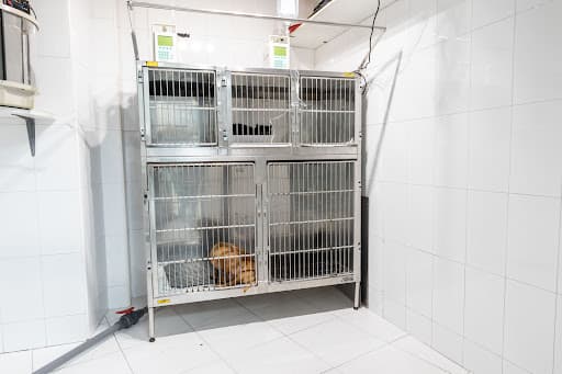 Hospital veterinario Elkano "Grupo Abereen Klinikak"