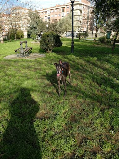 Txakurrentzako Parkea / Parque Canino