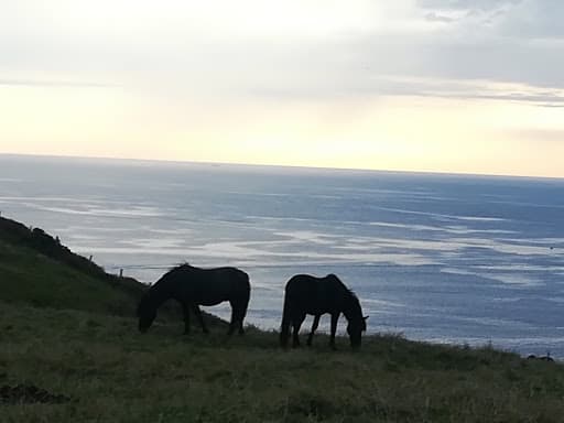CRFS de la Diputación de Bizkaia
